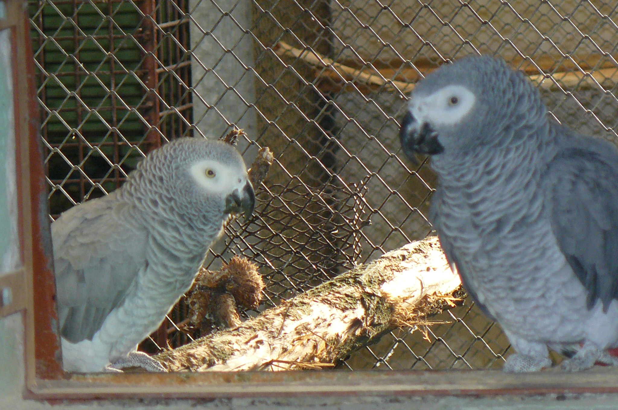 P1020510.JPG