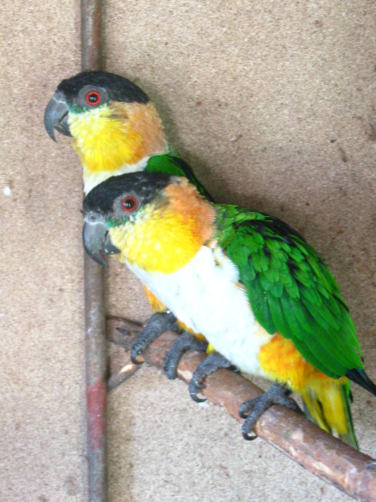 197-9762_IMG.JPG