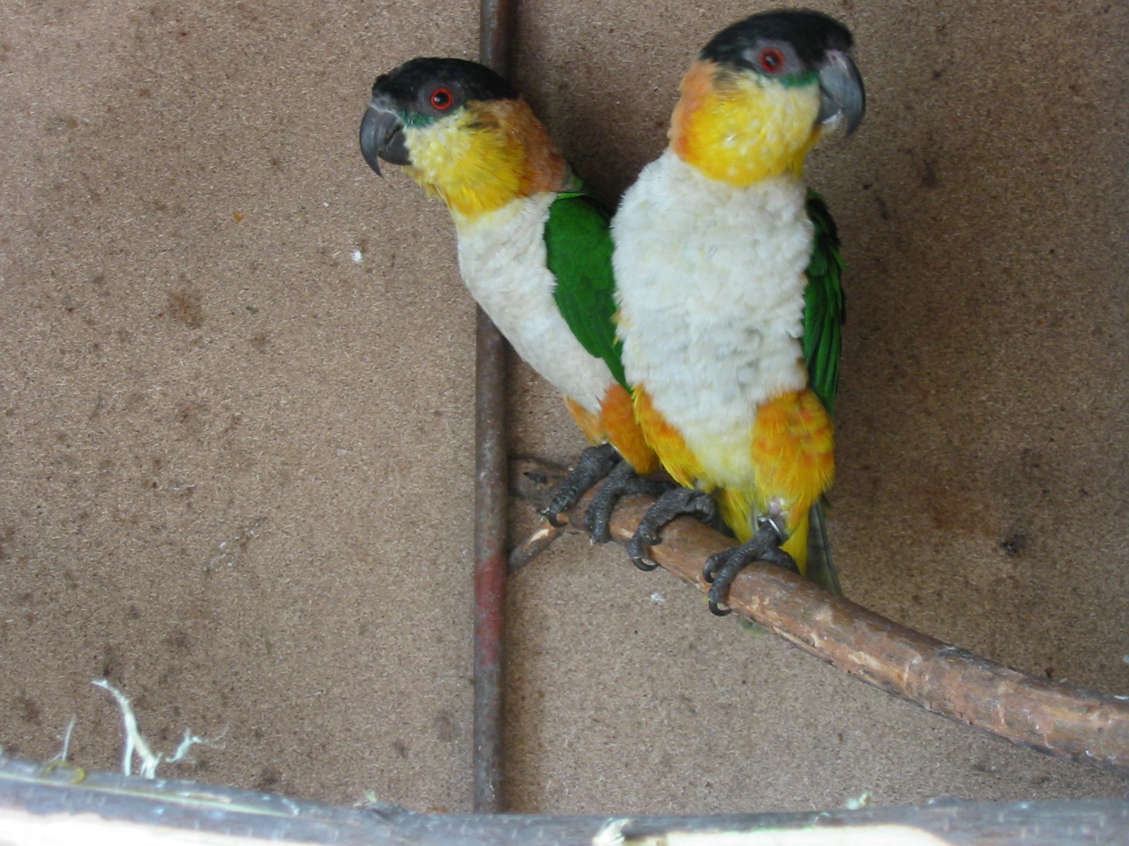 197-9712_IMG.JPG
