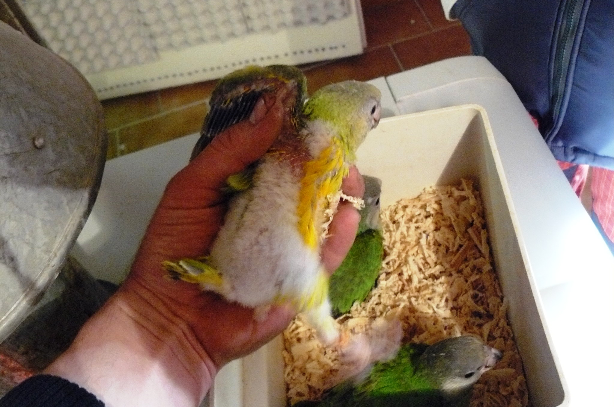 Snímek 005.jpg