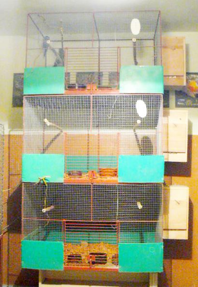 P1080015