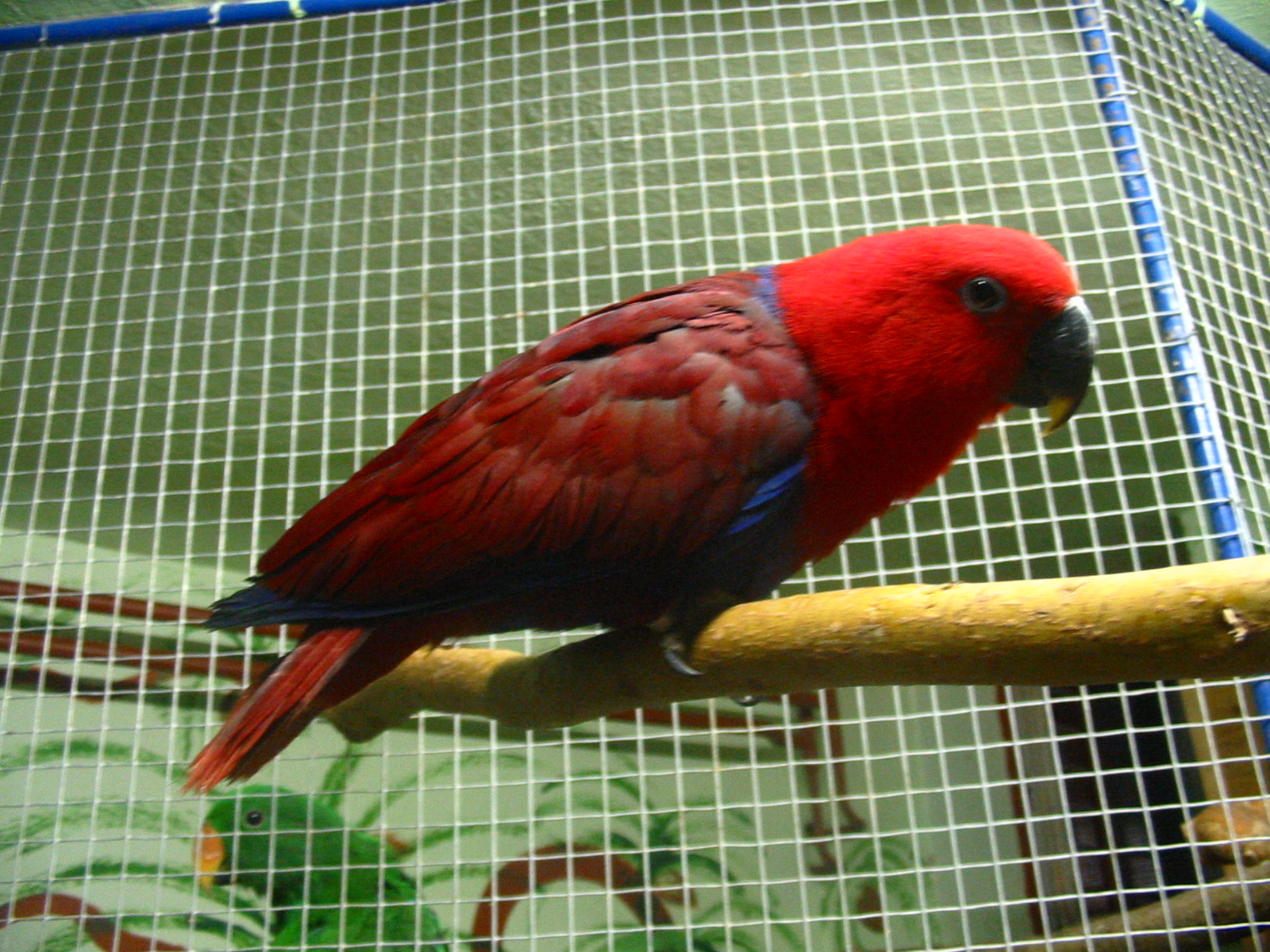 IMG_8334.JPG