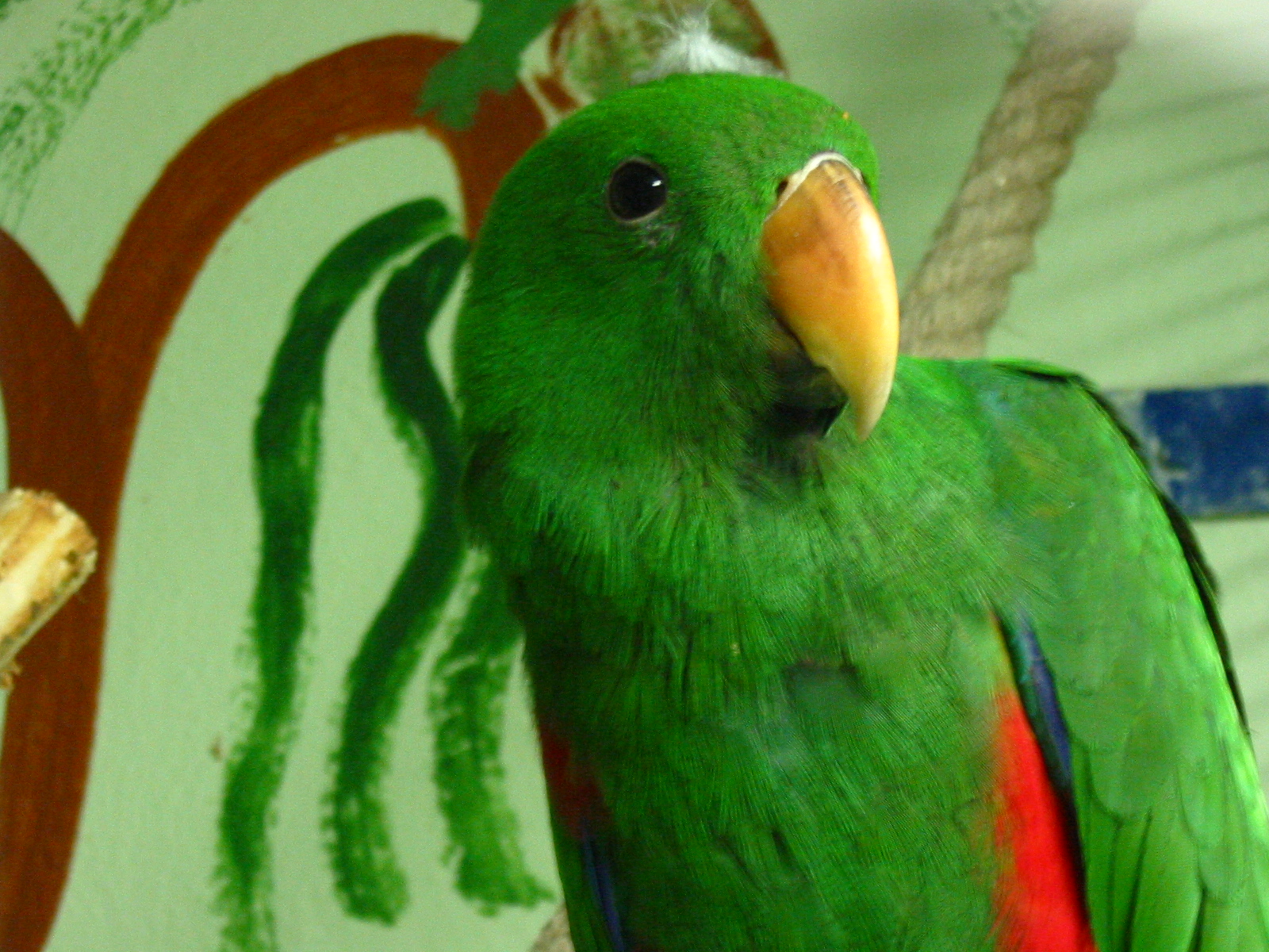 176-7609_IMG.JPG
