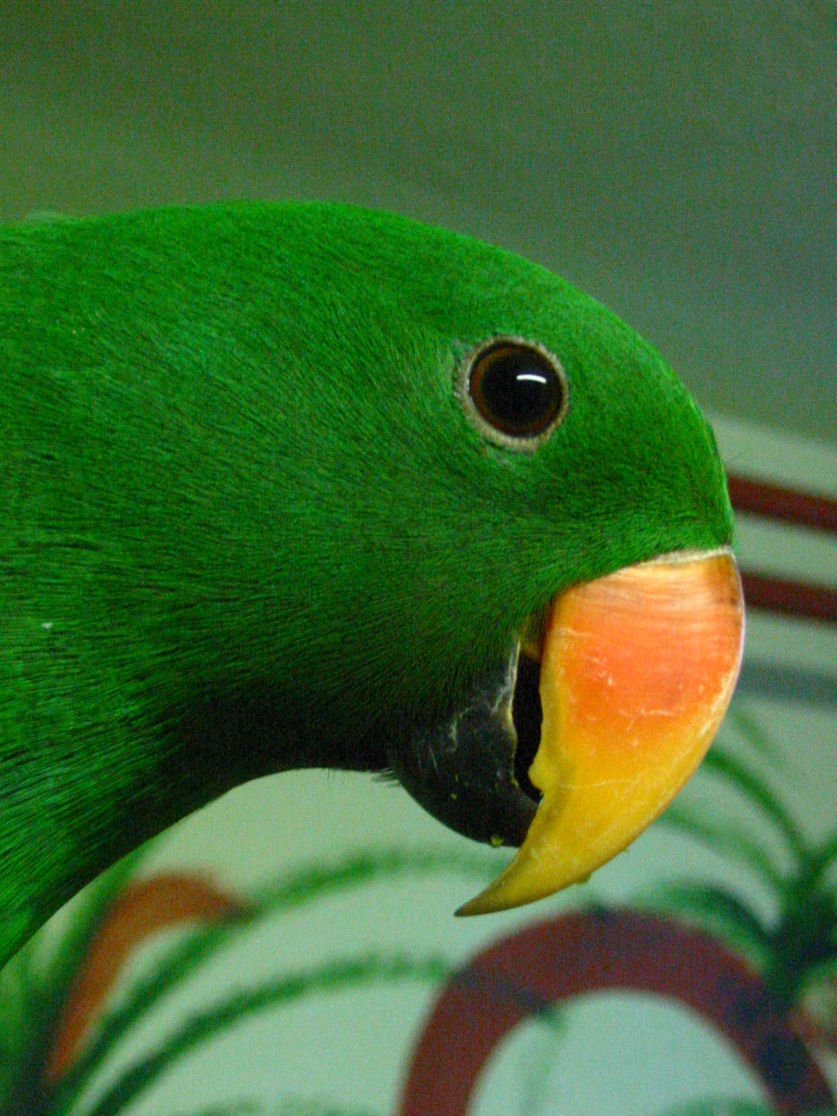194-9474_IMG.JPG