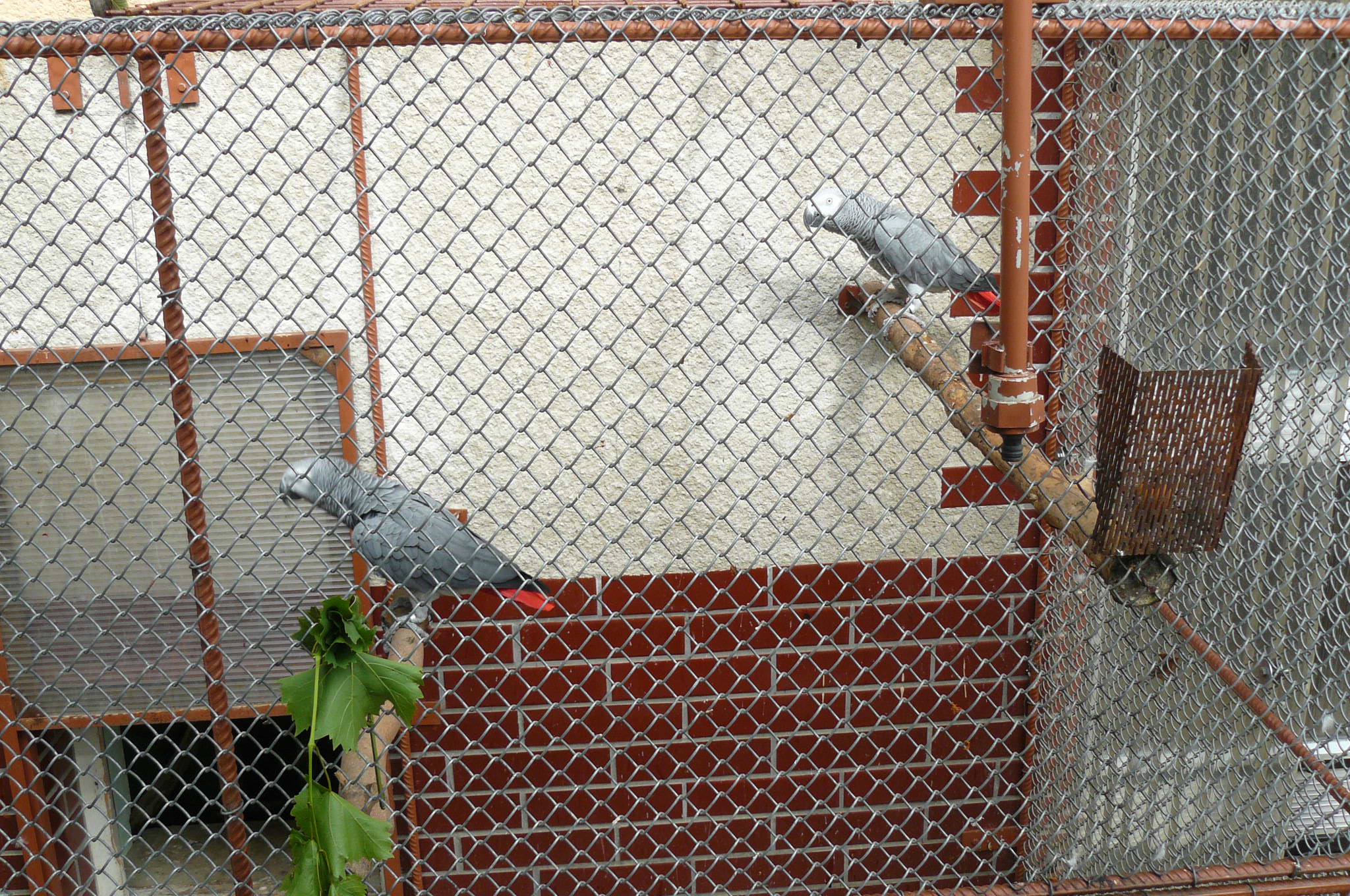 P1010227.JPG